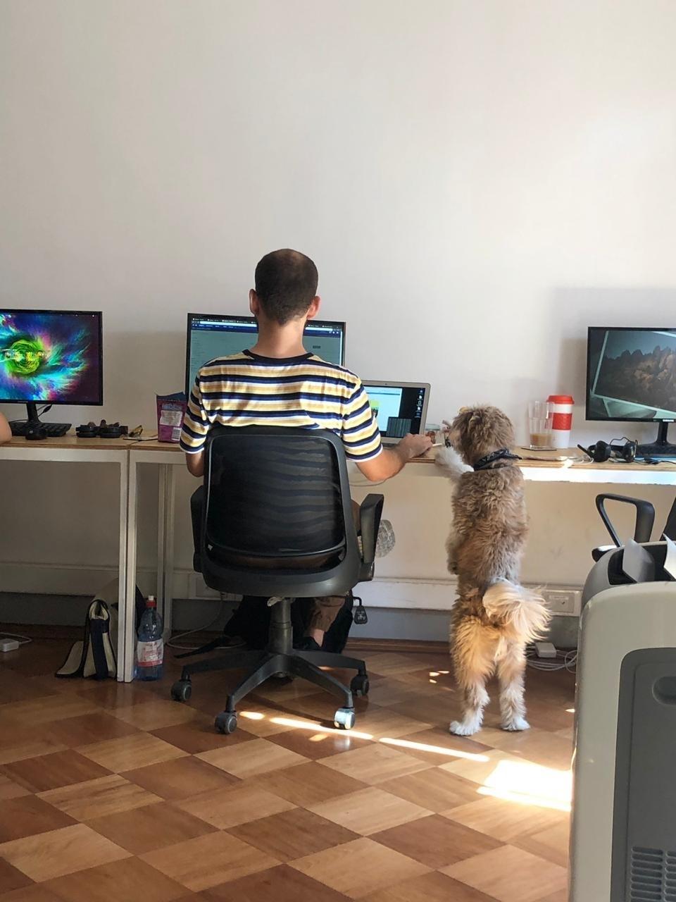 ExitAdvertising Careers